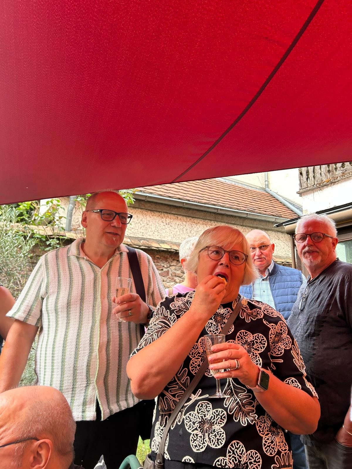 Viernheim - Lingolsheim