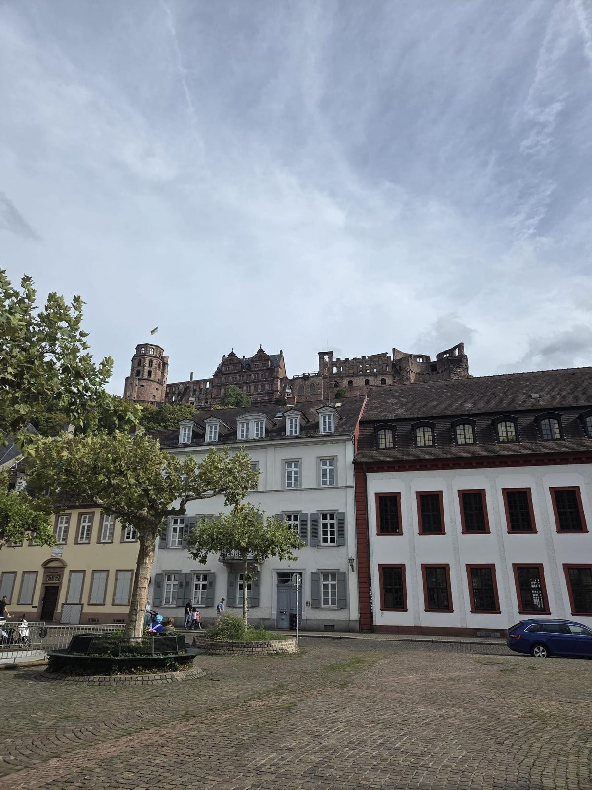 Viernheim - Lingolsheim