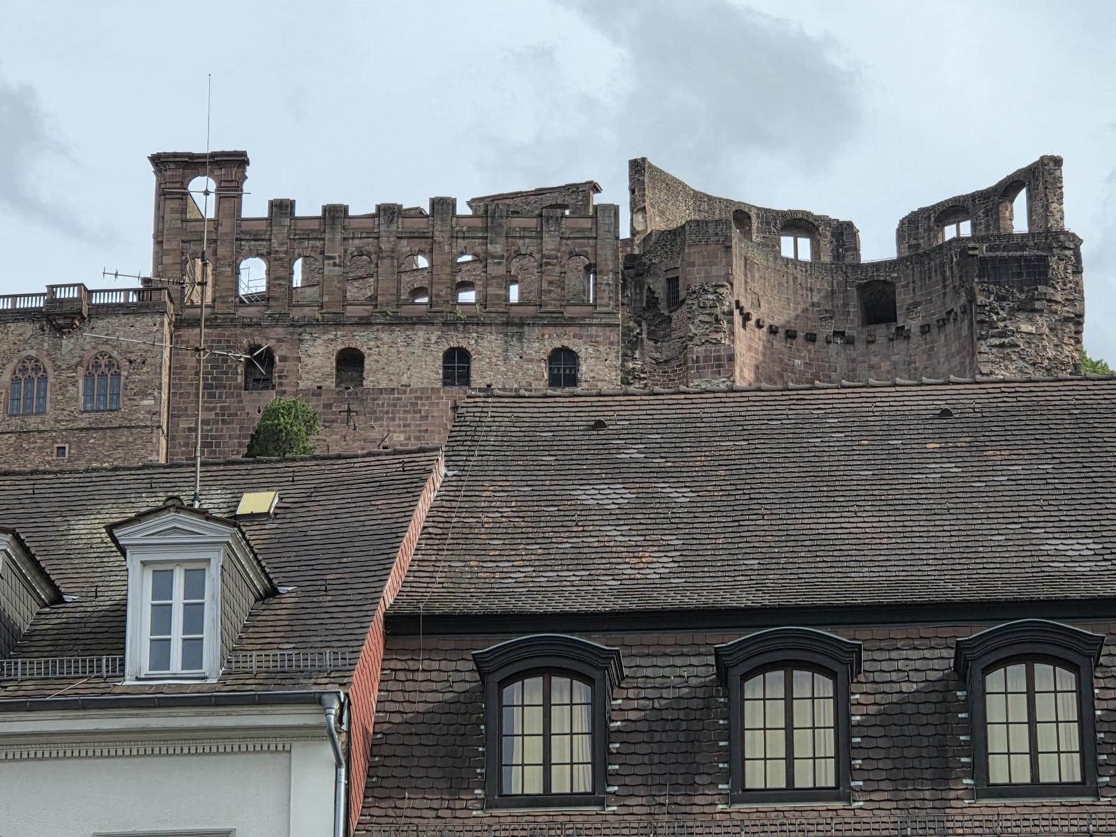 Viernheim - Lingolsheim
